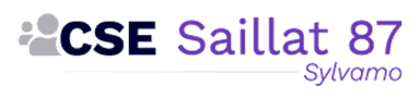 Cse Sylvamo Saillat 87