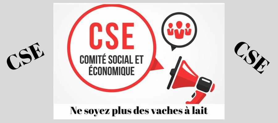 Vivez Local accompagne les CSE de façon personnalisée